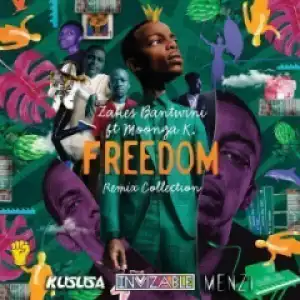 Zakes Bantwini X Moonga K - Freedom (Kususa Remix)